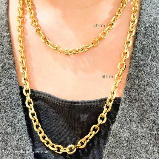 Ram Chain Necklace image 0