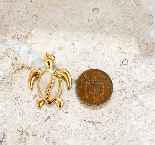 Turtle Charm