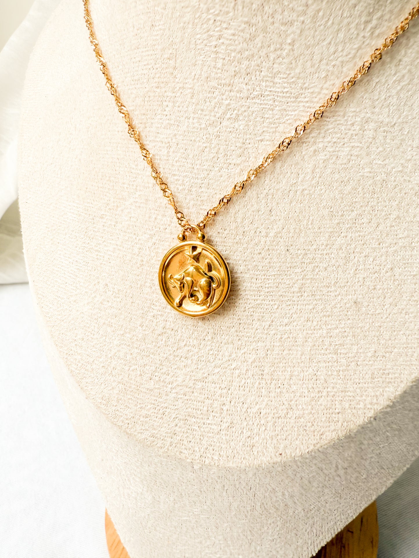 Zodiac Coin Necklace