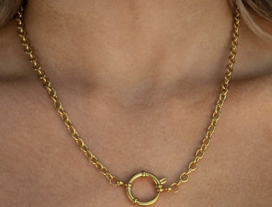  Chain Carabiner Necklace image 0