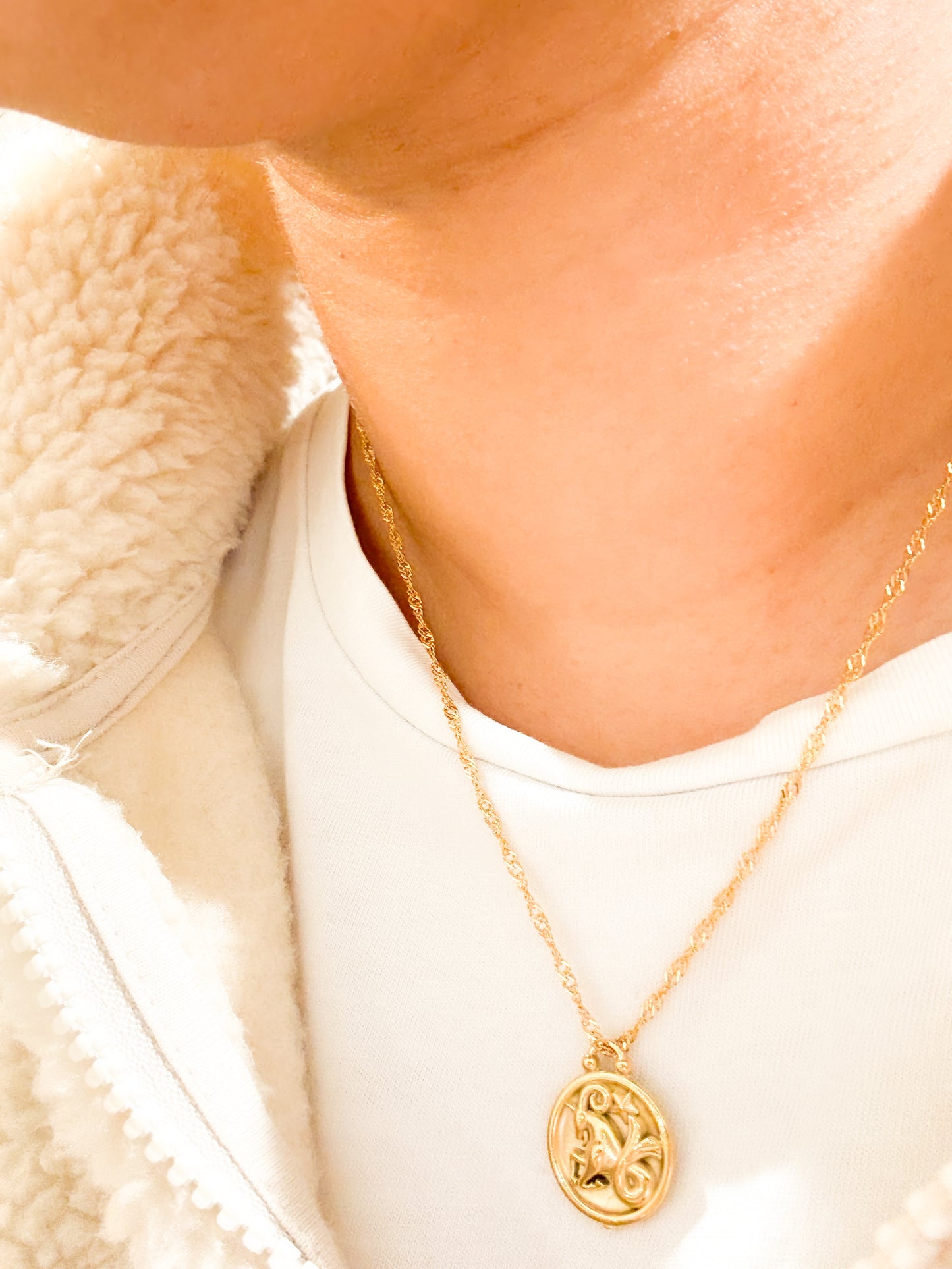 Zodiac Coin Necklace