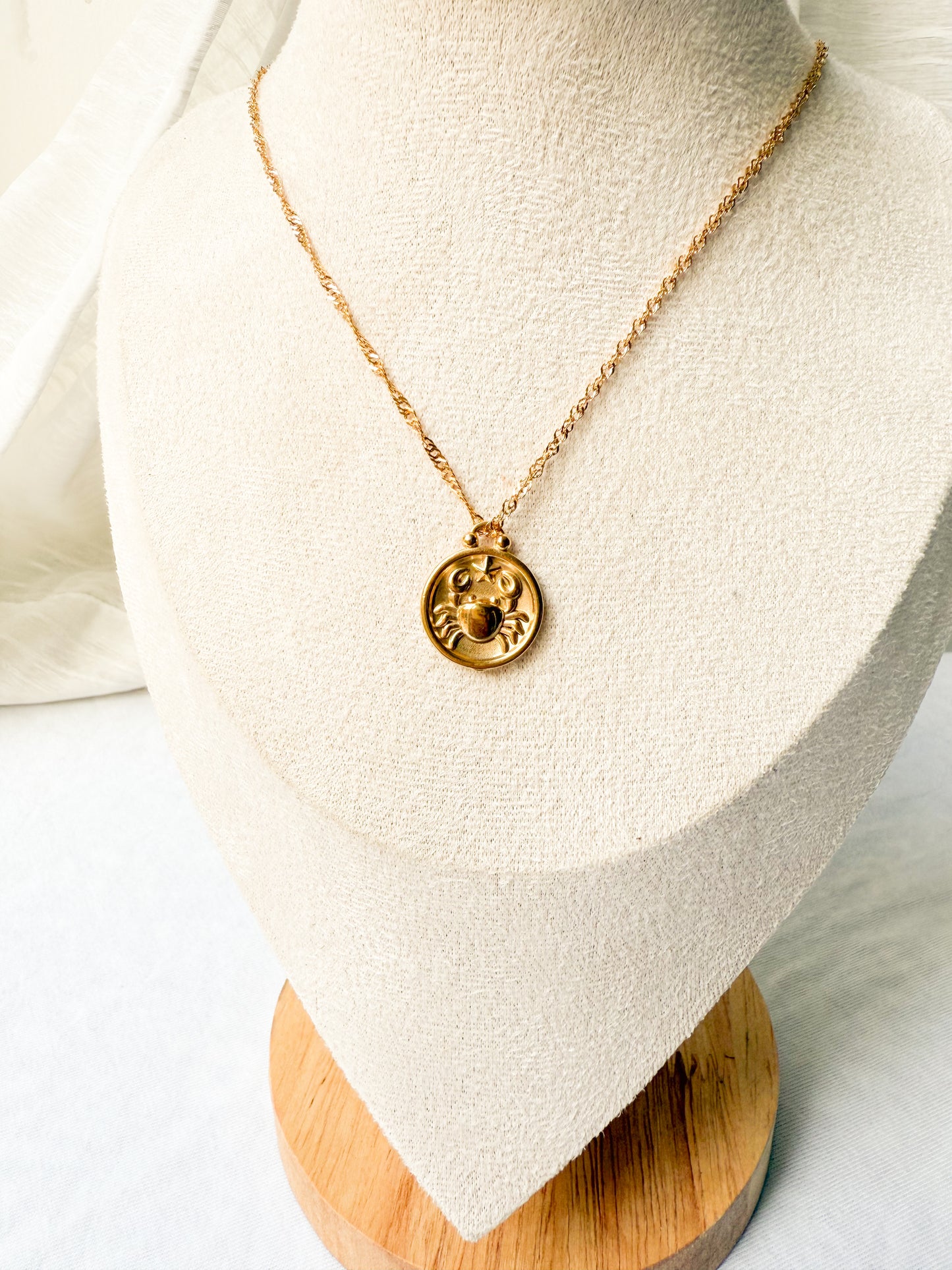 Zodiac Coin Necklace
