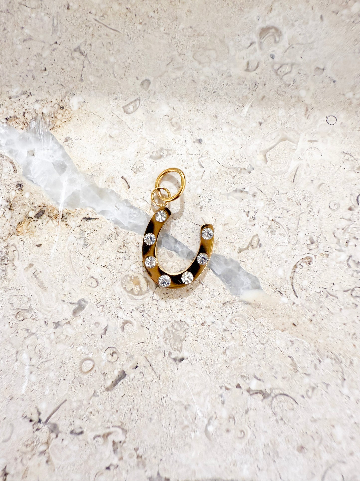 Lucky Horseshoe Charm