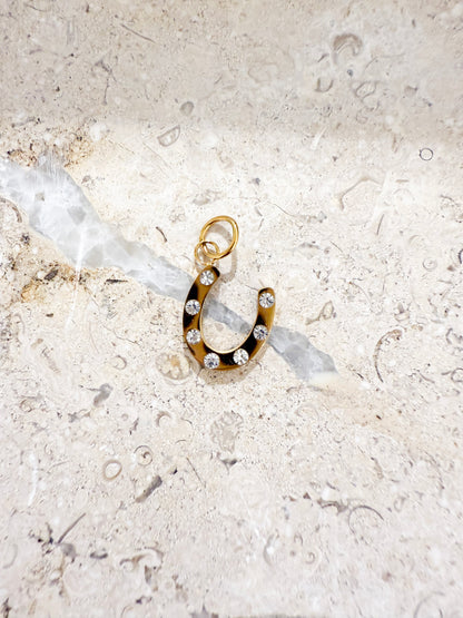 Lucky Horseshoe Charm