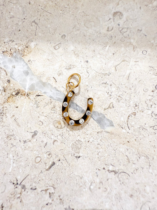 Lucky Horseshoe Charm