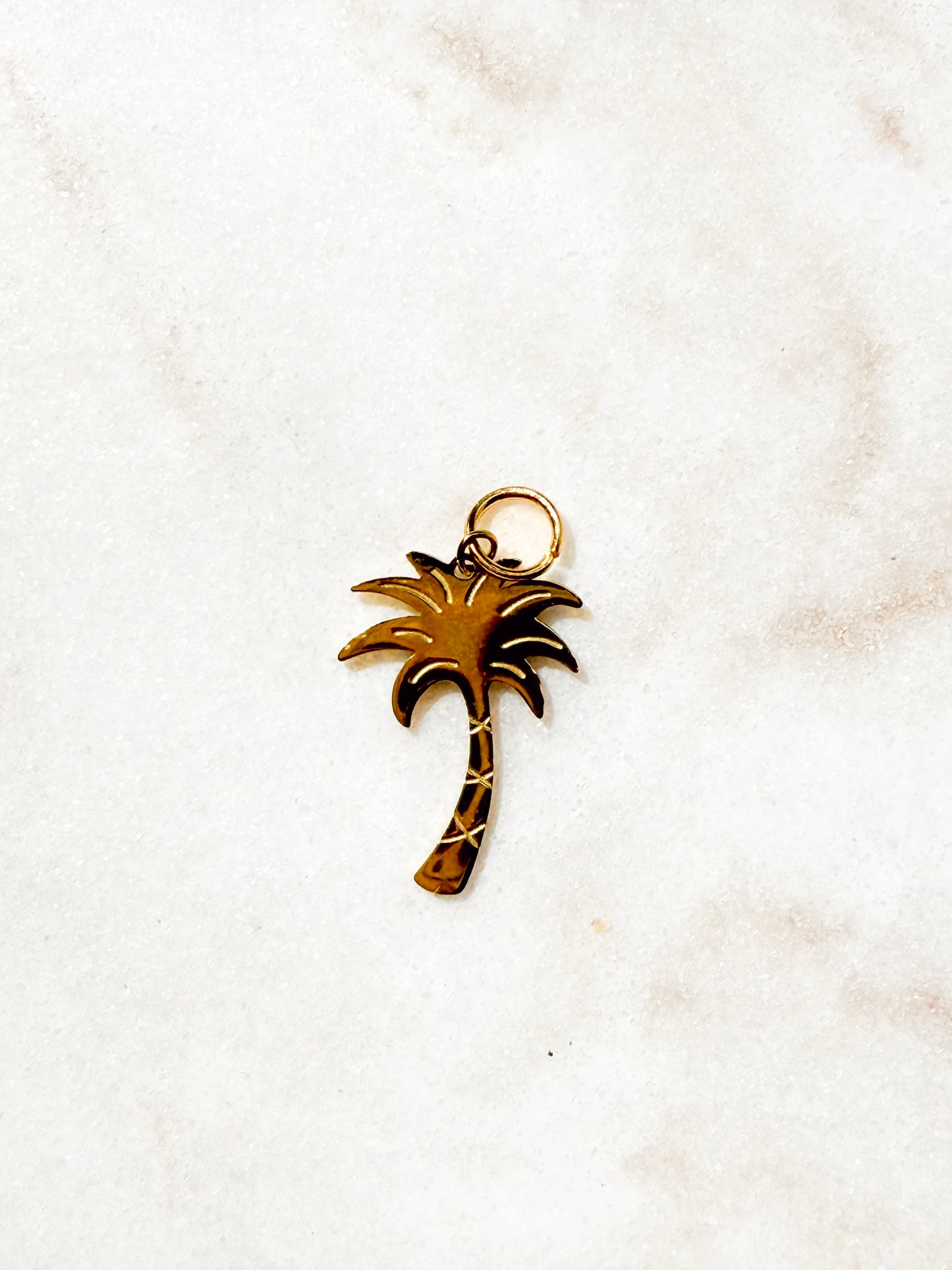 Palm Dream Charm