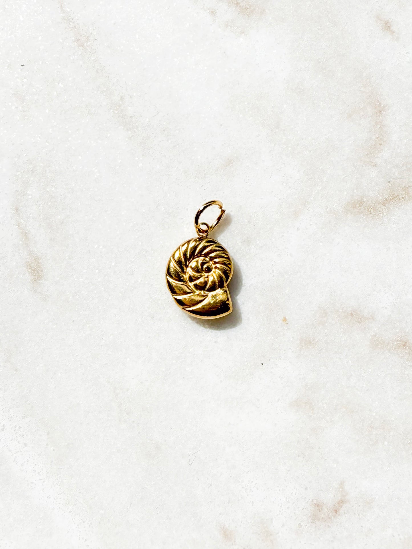 Golden Spiral Charm