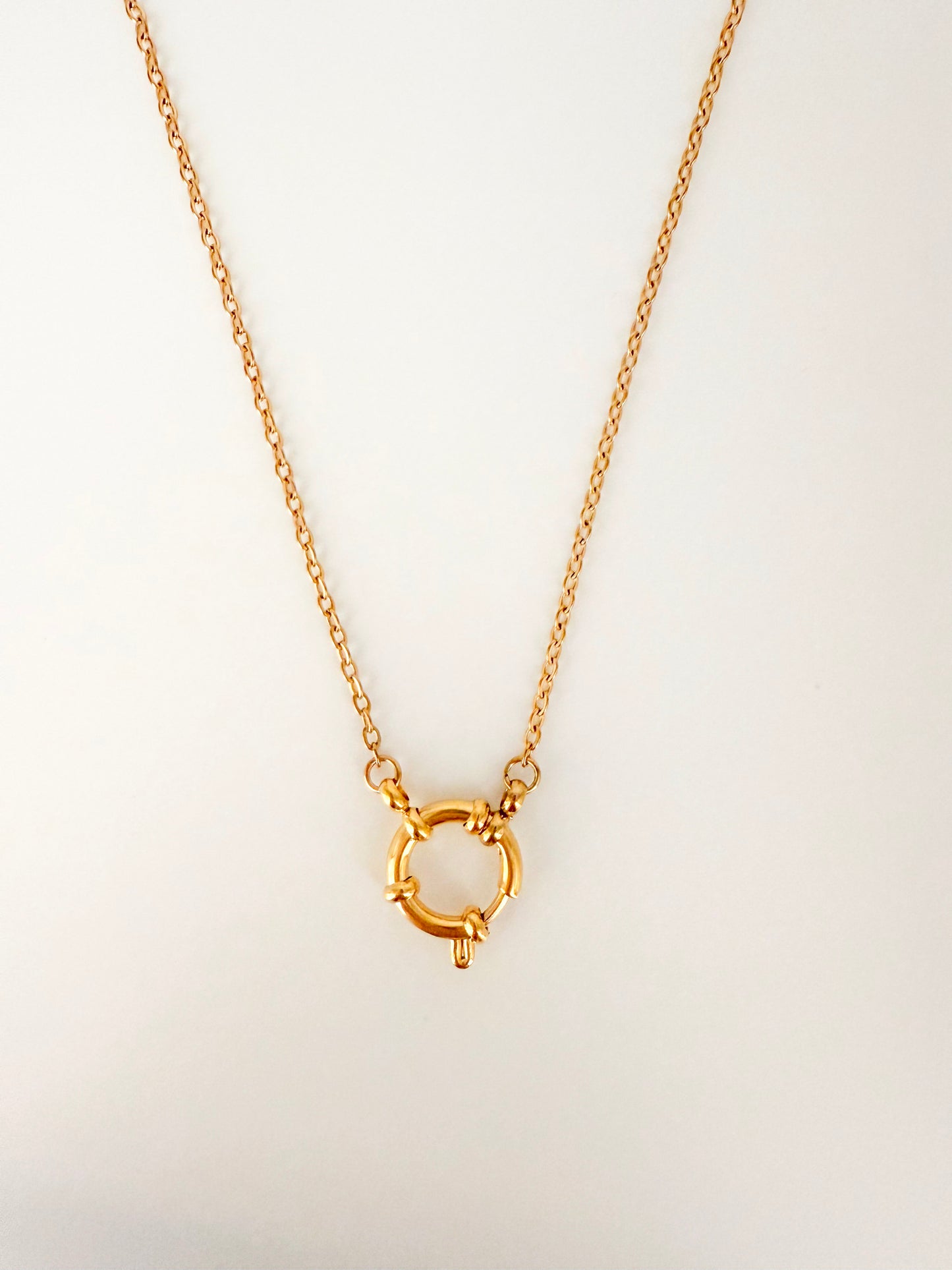 Zara Carabiner Necklace