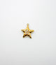 Twinkle Star Charm